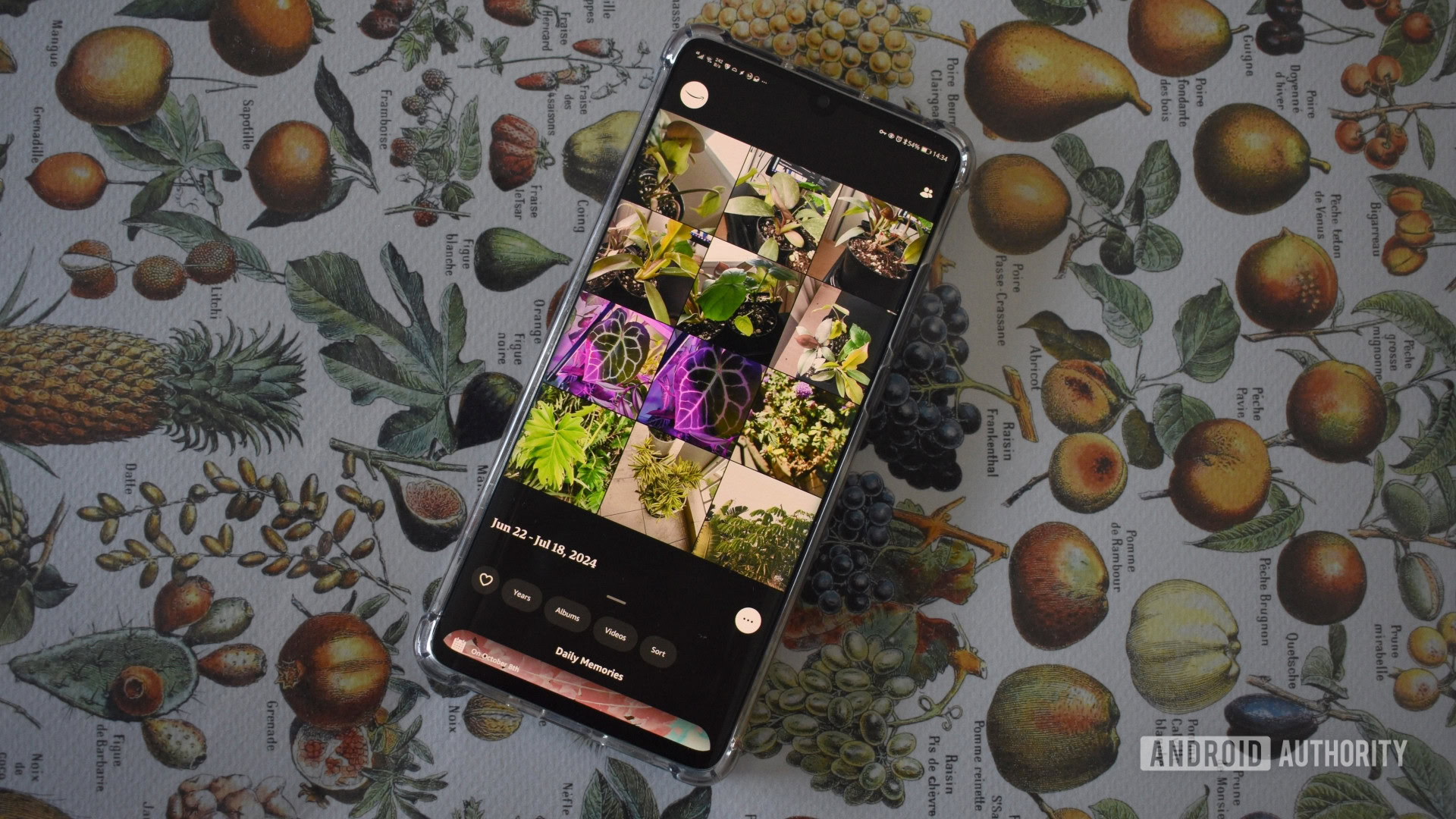 Amazon Photos Google Photos Alternative 1 Amazon Photos Google Photos Alternative 1
