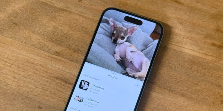 Cuándo esperar la próxima actualización de iOS 18